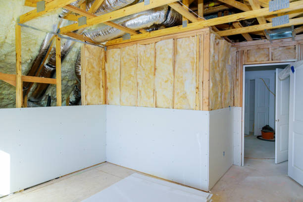 Best Geographic-Specific Insulation Services in Ransom Canyon, TX